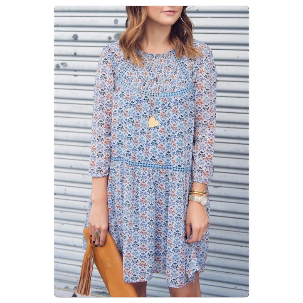 Anthro Holding‎ Horses Betony Blue Swing Dress